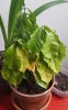 20201207_130445.jpg
