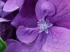 IMG_20200825_112625.jpg