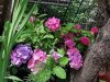 IMG_20200719_142034.jpg