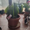 IMG_20201228_083220-min.jpg