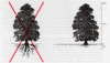 natesnursery-tree-system-depiction_1.png