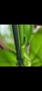 Screenshot_2021-02-07-12-50-13-305_com.miui.gallery.jpg