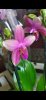 Screenshot_2021-02-07-12-46-17-600_com.miui.gallery.jpg
