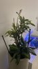 IMG-9166.jpg