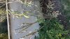 674EB14D-1F80-404E-A55F-231D283F1817.jpeg
