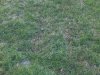 IMG00449-20130303-1741.jpg