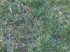IMG00451-20130303-1741.jpg