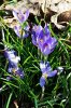 DSC_2283.jpg