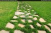 stone-path-in-green-grass-garden-texture-eed548.jpg