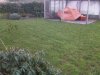 IMG00454-20130309-1008.jpg