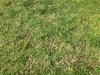 IMG_0983.jpg