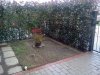 IMG_20130313_144010.jpg