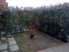 IMG_20130313_144025.jpg