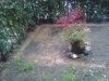 IMG_20130313_144115.jpg