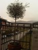 IMG00097-20130313-1647.jpg