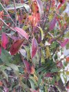 20210310_074931_compress36.jpg