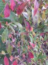 20210310_074929_compress60.jpg