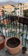 IMG_20210313_173006~2.jpg