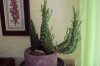 DSC01320.jpg
