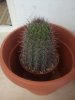 2013-03-19 13.58.08.jpg