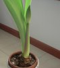 DSCN2251.jpg DSCN2251.jpg