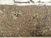 DSCN0736.jpg