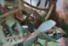 DSC00685.jpg