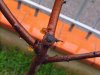 DSCF6054.JPG