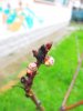 DSCF6072.JPG