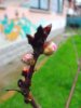 DSCF6073.JPG