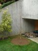 Metasequoia_1 - Copia.jpg Metasequoia_1 - Copia.jpg
