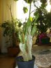22-06-2010 7.27.44_&.jpg
