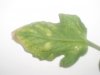 S4020998..jpg S4020998..jpg