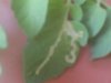 S4020997..jpg S4020997..jpg