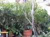 DSCF2645 a.jpg