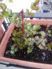 20130402_180154.jpg