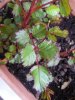 20130402_180203.jpg