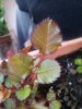 20130402_180226.jpg