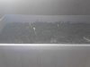 IMG_20130327_132846.jpg