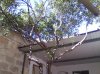 IMG_20130403_161219.jpg