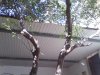 IMG_20130403_161703.jpg