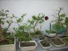 DSCN1852_399.jpg