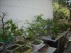 DSCN1851_398.jpg