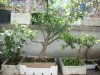 DSCN1850_397.jpg
