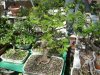 DSCN1855_402.jpg