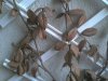 2013-04-07 12.10.12.jpg