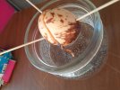 IMG_20210510_130251.jpg