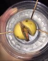 IMG_20210510_231428.jpg