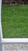20210514_162821_resize_96.jpg