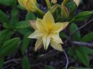 DSCN0259.JPG